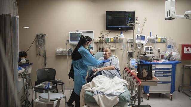 COVID hospitalizations grew 865 percent over summer
