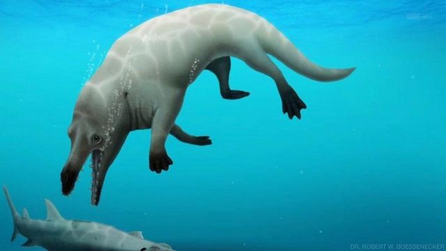 Ancient fossil of four-legged whale discovered in Egypt 