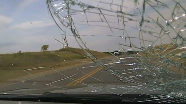 Vulture flies into with window of state trooper's patrol car