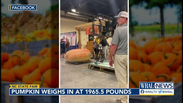 Monstrous: Pumpkin weighs in at nearly 2,000 pounds at NC State Fair 
