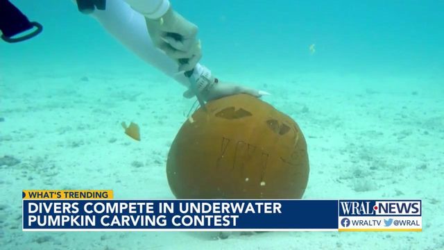 Divers carve pumpkins underwater 