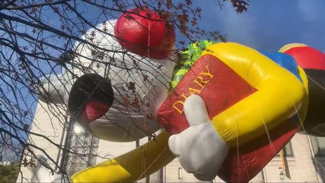 Wimpy kid gets tangled in trees along parade route