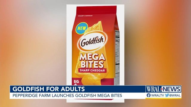 Goldfish for grownups: New snacks released