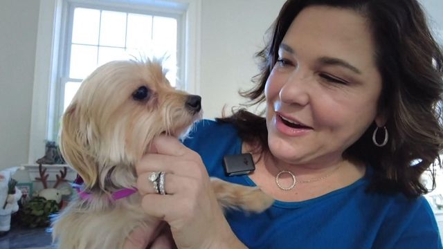 Woman reunited with her lost dog after 3 years