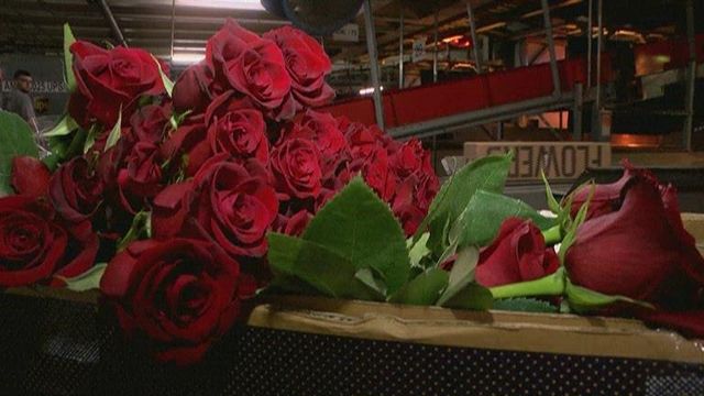 Florists say order your Valentine's Day flowers now 