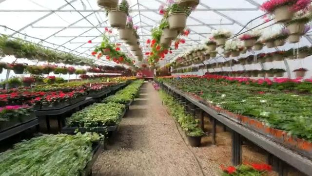 Regardless of where your plants are growing, prices are soaring 