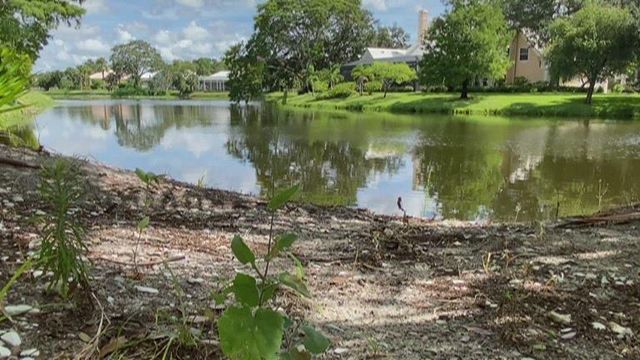 Alligator sightings increase in April, May 