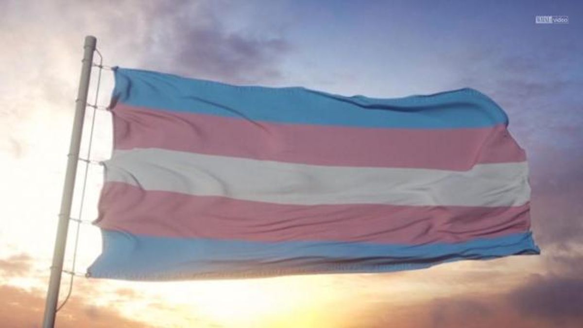 Transgender flag 