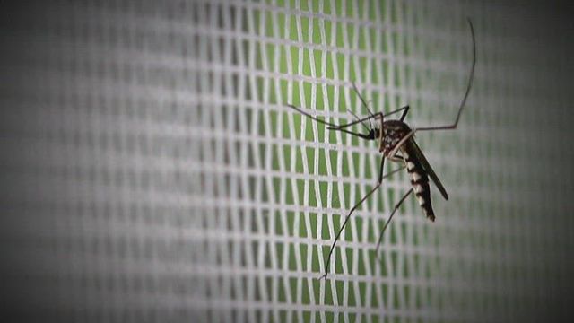 Why mosquitos are more attracted to some people