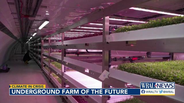 Underground farm could be a look into the future of food production