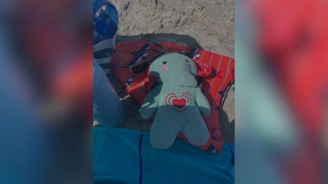 Iowa couple asks for help finding stuffed animal with son's ashes inside