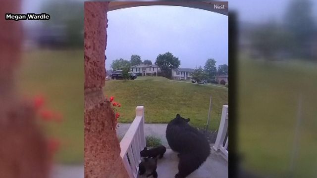 On cam: Bear family visits woman's front porch 