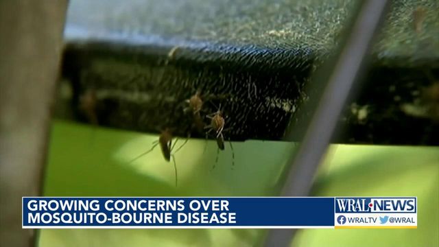 Growing concerns over mosquito-borne disease