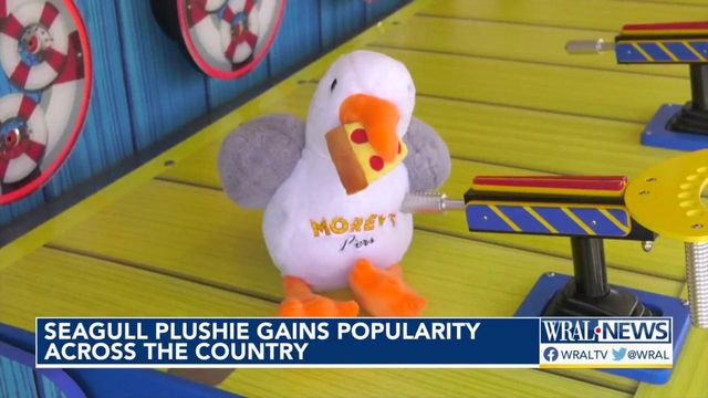 Seagull plushie gains popularity across the country