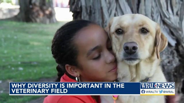 Why diversity is important in the veterinary field