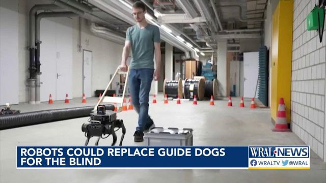 Robots could replace guide dogs for the blind