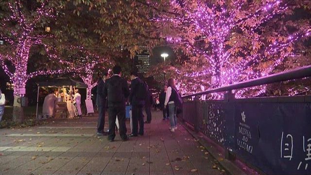 380,000 lights powered by cooking oil in unique Tokyo display