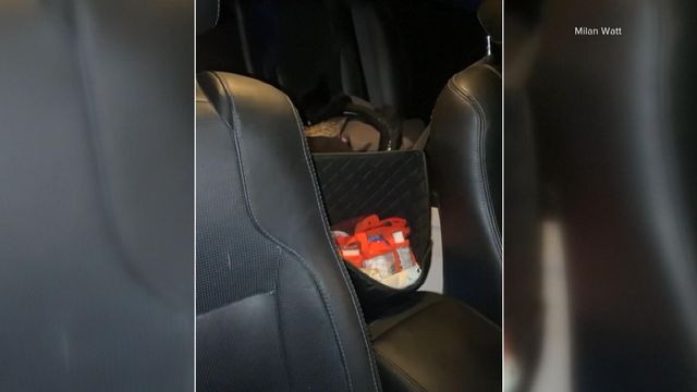 Arizona woman finds rattlesnake in backseat of car
