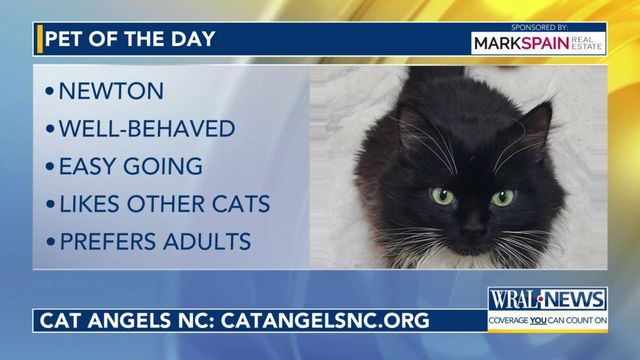Pet of the Day: March 13