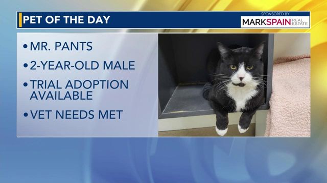 Pet of the Day: March 29, 2024