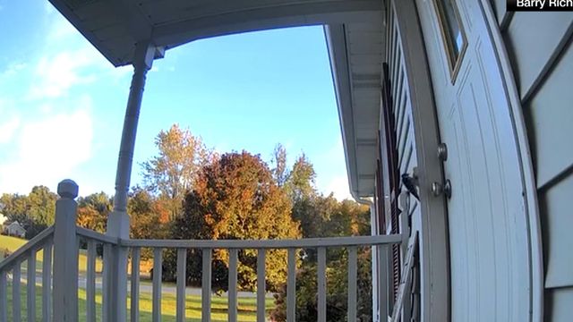 On cam: Woodpecker rings doorbell, video goes viral