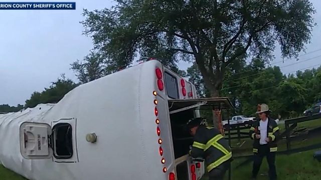 Bus crash in Florida kills 8 people