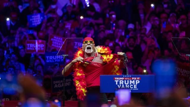Terry Bollea appears in his wrestling persona, Hulk Hogan, during a campaign rally for former President Donald Trump, the Republican presidential nominee, at Madison Square Garden in New York, on Sunday, Oct. 27, 2024. (Hiroko Masuike/The New York Times)