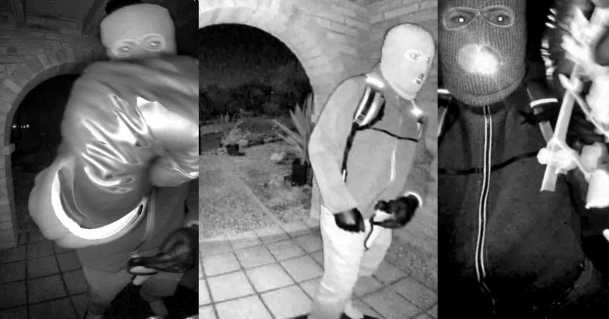 Nancy Guthrie latest: FBI combs desert terrain for clues in disappearance, black gloves found