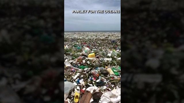 Raw: Tons of plastic spoil Dominican Republic's Caribbean Sea