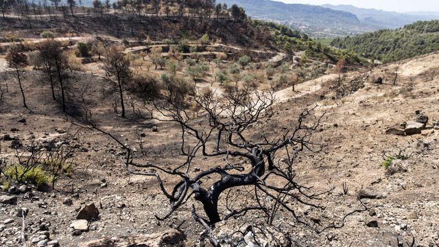 Western US entering worst drought in 1,200 years, study says