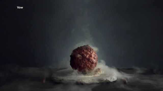 Scientists are extracting Mammoth DNA to make meatballs