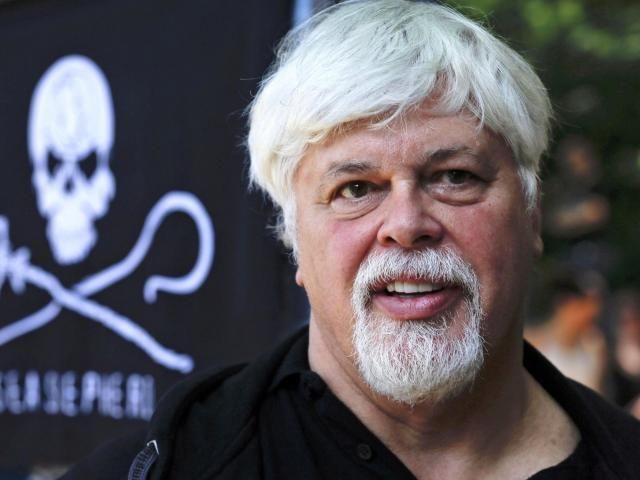 律师表示，获释的反捕鲸活动人士保罗·沃森不会被丹麦引渡到日本