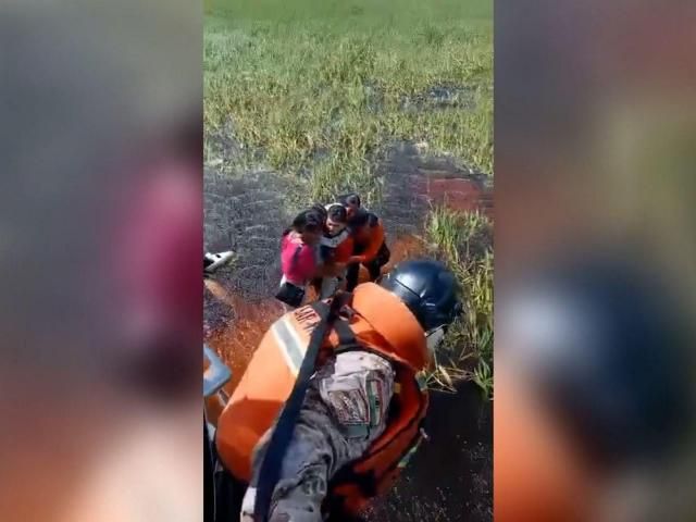 Five People Rescued Almost Two Days After Plane Crashes Into Alligator