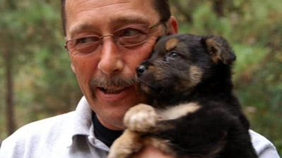 Dogs seek new homes after removal from veteran's care