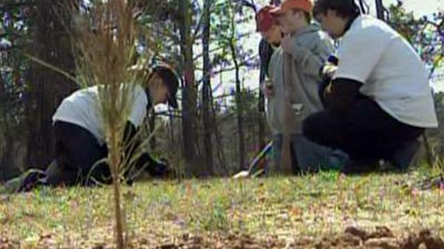 Trees planted in honor of Apex teen