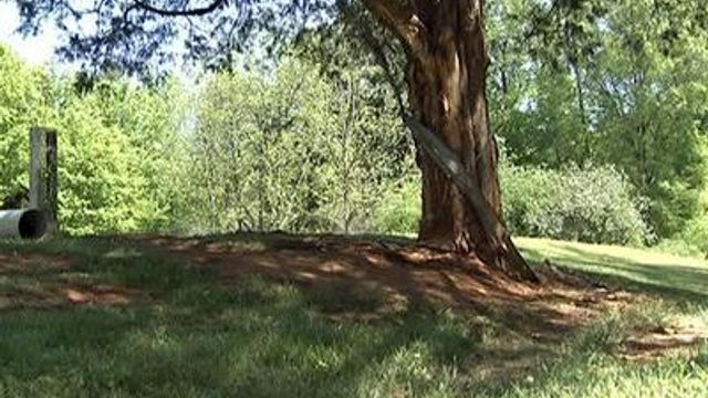 Vance deputy dies after hitting tree