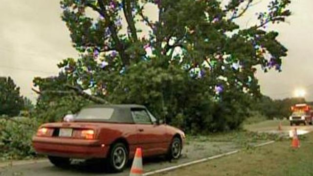 Truck hits fallen tree in Benson; woman injured