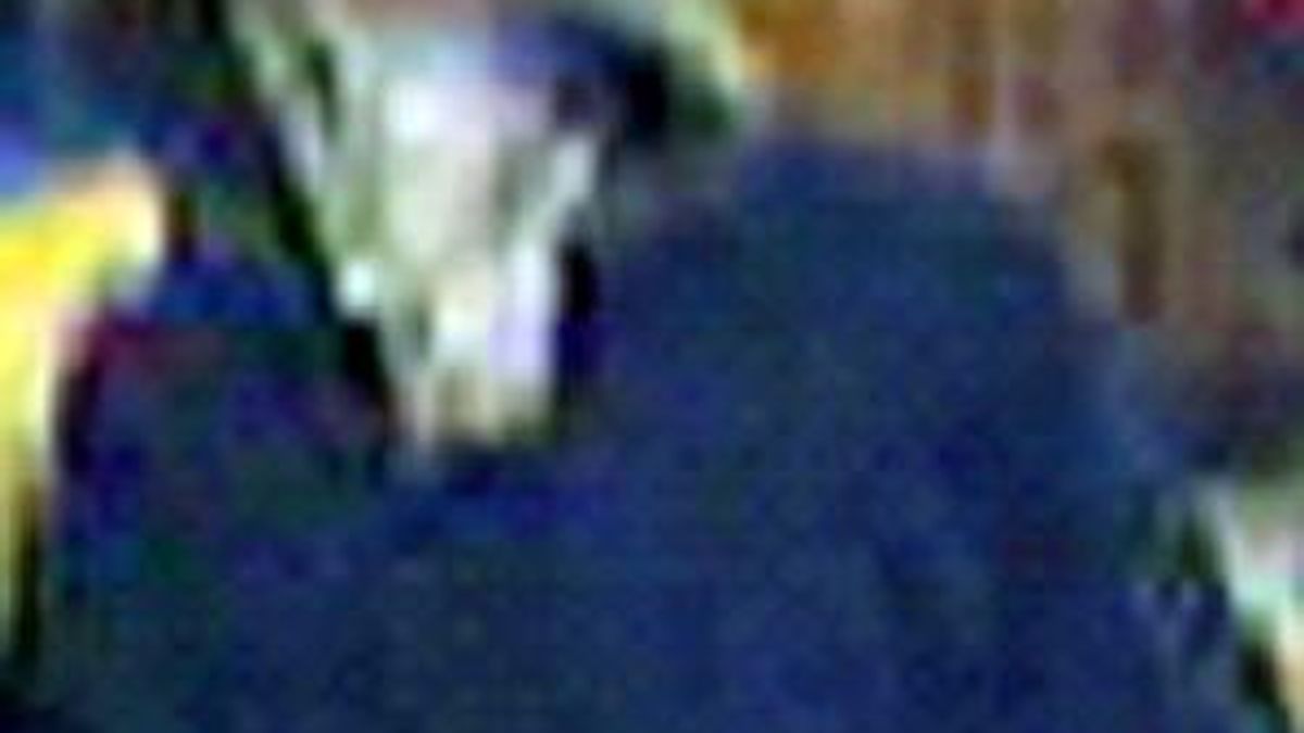 rocky mount robbery