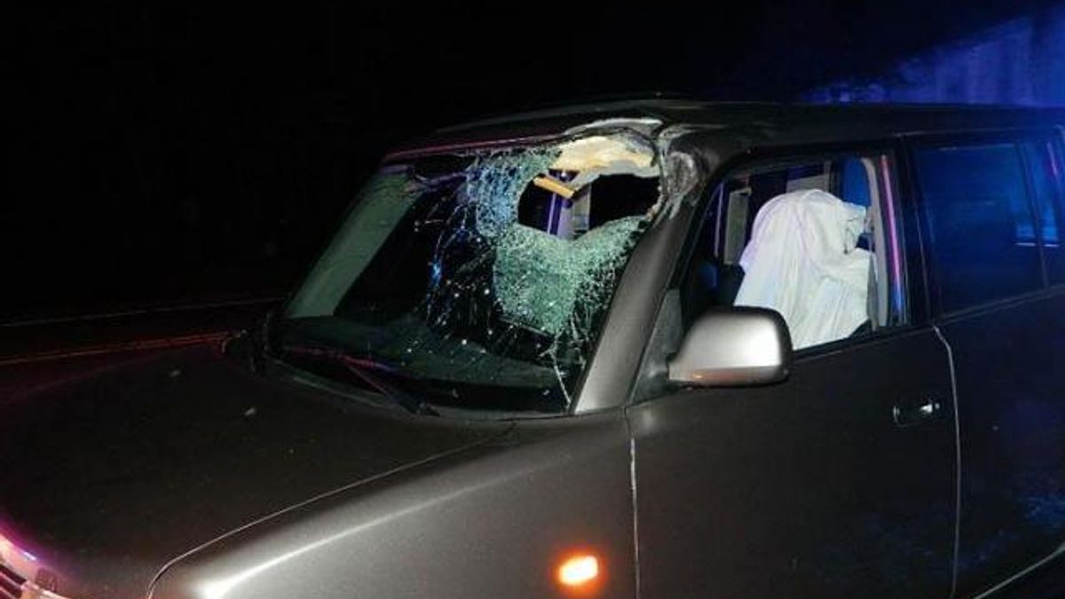 Freak Vass logging truck accident
