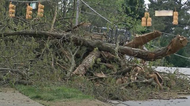 Tree knocks out power, causes traffic troubles in Raleigh