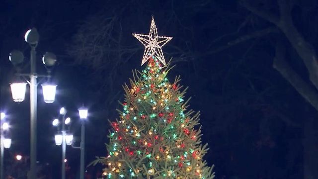 Tree-lighting provides community holiday experience