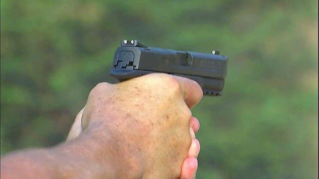 Wake County offers online gun permits