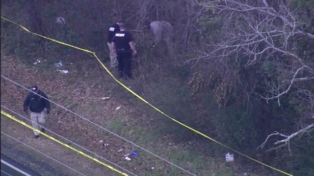 Deputies, forensic experts scour woods searching for skeletal remains