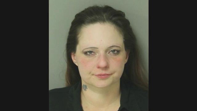 Woman charged with animal cruelty after dogs die in car