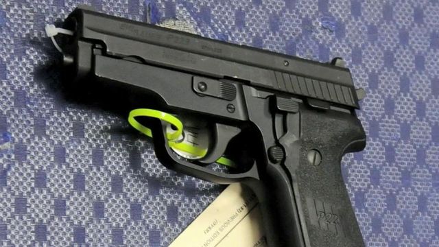Latest shootings unlikely to sway gun law