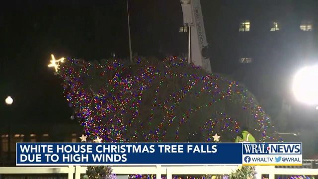 Wind blows over White House Christmas tree