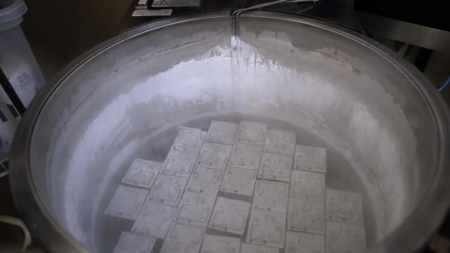 FILE - In this Tuesday, Oct. 2, 2018 photo, containers holding frozen embryos and sperm are stored in liquid nitrogen at a fertility clinic in Fort Myers, Fla. The Alabama Supreme Court ruled, Friday, Feb. 16, 2024, that frozen embryos can be considered children under state law, a ruling critics said could have sweeping implications for fertility treatments. The decision was issued in a pair of wrongful death cases brought by three couples who had frozen embryos destroyed in an accident at a fertility clinic. (AP Photo/Lynne Sladky, File) FILE - In this Tuesday, Oct. 2, 2018 photo, containers holding frozen embryos and sperm are stored in liquid nitrogen at a fertility clinic in Fort Myers, Fla. The Alabama Supreme Court ruled, Friday, Feb. 16, 2024, that frozen embryos can be considered children under state law, a ruling critics said could have sweeping implications for fertility treatments. The decision was issued in a pair of wrongful death cases brought by three couples who had frozen embryos destroyed in an accident at a fertility clinic. (AP Photo/Lynne Sladky, File)