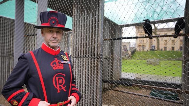Barney Chandler, newly appointed ravenmaster stands alongside some ravens at The Tower of London in London, Thursday, Feb. 29, 2024. If legend is to be believed, Barney Chandler has just got the most important job in England. Chandler is the newly appointed ravenmaster at the Tower of London. He's responsible for looking after the feathered protectors of the 1,000-year-old fortress. (AP Photo/Kirsty Wigglesworth)