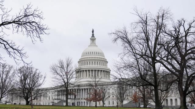 The U.S Capitol photographed on Tuesday, Feb. 13, 2024, in Washington. (AP Photo/Mariam Zuhaib) The U.S Capitol photographed on Tuesday, Feb. 13, 2024, in Washington. (AP Photo/Mariam Zuhaib)