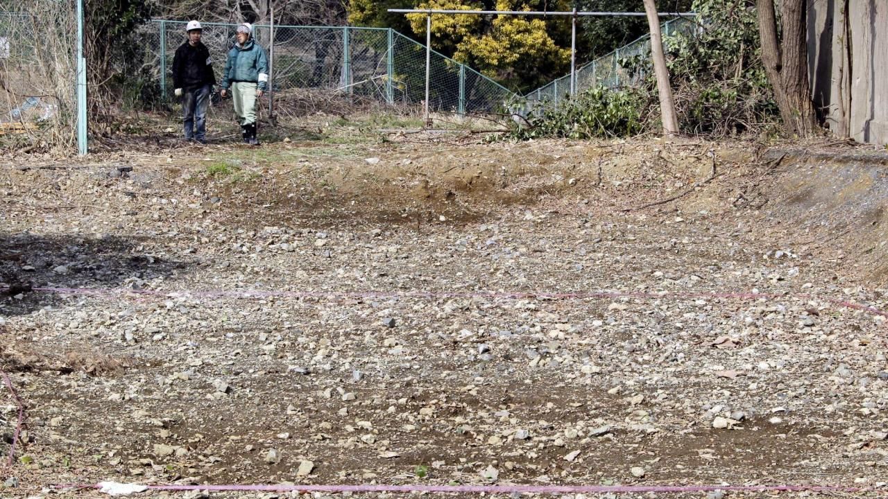 A mysterious pile of bones could hide evidence of Japanese war crimes,  activists say